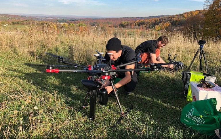 Con drones - así es el novedoso proceso de reforestación de bosques nativos en Canadá